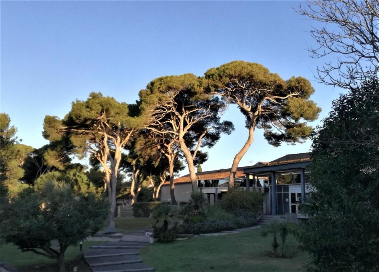 Maison Basalte アグド エクステリア 写真